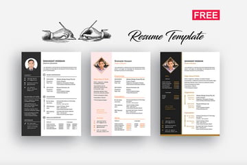 18 Free Cute Resume Templates With Fun Designs For 2022